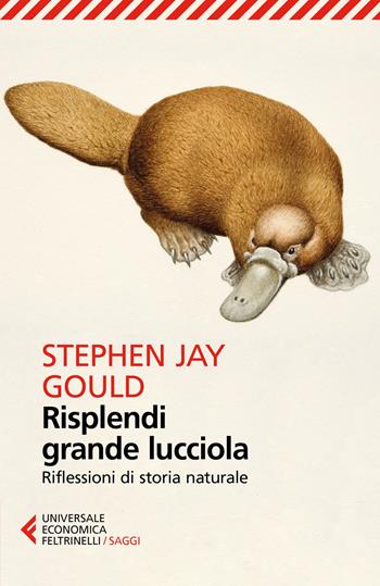 Risplendi grande lucciola. Riflessioni di storia naturale - Stephen Jay Gould - Libro Feltrinelli 2018, Universale economica. Saggi | Libraccio.it
