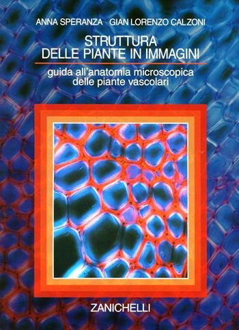 Struttura delle piante in immagini. Guida all'anatomia microscopica delle piante vascolari - G. Lorenzo Calzoni, Anna Speranza - Libro Zanichelli 1996 | Libraccio.it