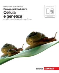 Biologia. Un'introduzione. Cellula e genetica. Con espansione online - Helena Curtis, N. Sue Barnes - Libro Zanichelli 2010 | Libraccio.it