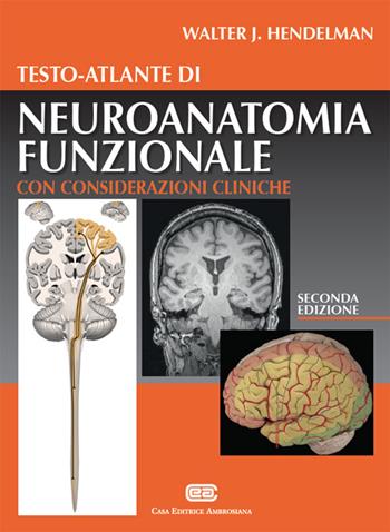 Testo-atlante di neuroanatomia funzionale. Con considerazioni cliniche - Walter J. Hendelman - Libro CEA 2016 | Libraccio.it