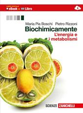Biochimicamente. L'energia e i metabolismi. Con e-book. Con espansione online