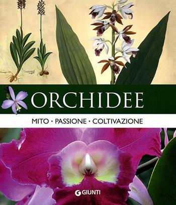 Orchidee. Mito, passione, coltivazione  - Libro Giunti Editore 2010, Vivere il giardino | Libraccio.it
