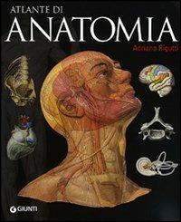 Atlante di anatomia - Adriana Rigutti - Libro Giunti Editore 2012, Atlanti illustrati | Libraccio.it
