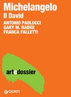 Michelangelo. Il David. Ediz. illustrata