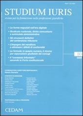 Studium iuris. Rivista per la formazione nelle professioni giuridiche (2009). Vol. 10