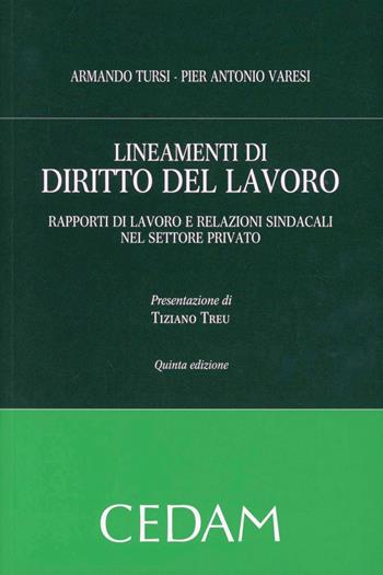 Lineamenti di diritto del lavoro. Rapporti di lavoro e relazioni sindacali nel settore privato - Armando Tursi, Pier Antonio Varesi - Libro CEDAM 2012 | Libraccio.it
