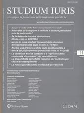 Studium iuris. Rivista per la formazione nelle professioni giuridiche (2015). Vol. 11