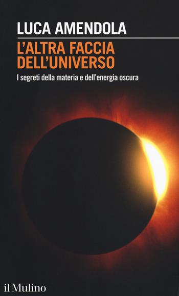 L' altra faccia dell'universo. I segreti della materia e dell'energia oscura - Luca Amendola - Libro Il Mulino 2018, Intersezioni | Libraccio.it