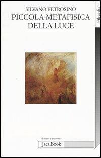 Piccola metafisica della luce. Una teoria dello sguardo - Silvano Petrosino - Libro Jaca Book 2004, Di fronte e attraverso. Filosofia | Libraccio.it