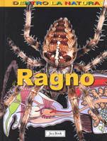 Il ragno - Gillian Houghton - Libro Jaca Book 2004, Dentro la natura | Libraccio.it