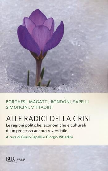 Alle radici della crisi. Le ragioni politiche, economiche e culturali di un processo ancora reversibile  - Libro Rizzoli 2013, BUR Saggi | Libraccio.it