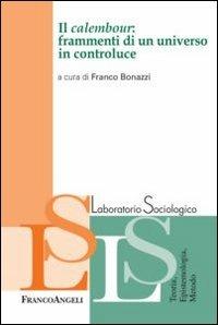 Il calembour: frammenti di un universo in controluce  - Libro Franco Angeli 2013, Laboratorio sociologico | Libraccio.it