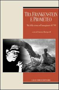 Tra Frankenstein e Prometeo. Miti della scienza nell'immaginario del '900  - Libro Liguori 2007, Teorie e oggetti della letteratura | Libraccio.it