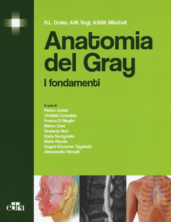 Anatomia del Gray. I fondamenti - Richard L. Drake, A. Wayne Vogl, Adam W. Mitchell - Libro Edra 2015 | Libraccio.it