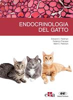   Endrocrinologia del gatto