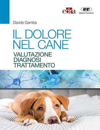 Il dolore nel cane. Valutazione, diagnosi e trattamento - Davide Gamba - Libro Edra 2020 | Libraccio.it