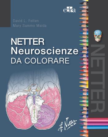Netter neuroscienze da colorare - David L. Felten, Mary Summo Maida - Libro Edra 2021 | Libraccio.it
