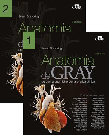 Anatomia del Gray. Le basi anatomiche per la pratica clinica. Vol. 1-2 - Susan Standring - Libro Edra 2022 | Libraccio.it