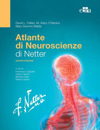 Atlante di neuroscienze di Netter - David L. Felten, M. Kerry O'Banion, Mary Summo Maida - Libro Edra 2022 | Libraccio.it