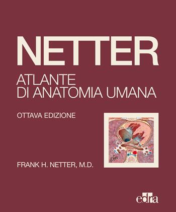 Netter. Atlante di anatomia umana - Frank H. Netter - Libro Edra 2022 | Libraccio.it