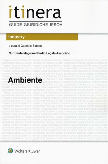 Ambiente. Con aggiornamento online  - Libro Ipsoa 2016, Itinera. Guide giuridiche | Libraccio.it