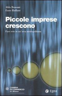 Piccole imprese crescono. Fare rete in un'area metropolitana - Aldo Bonomi, Enzo Rullani - Libro EGEA 2005, Cultura di impresa | Libraccio.it