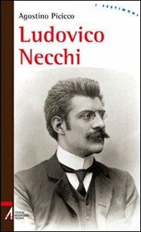 Ludovico Necchi - Agostino Picicco - Libro EMP 2010, I testimoni | Libraccio.it