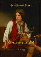   Il giovane provveduto