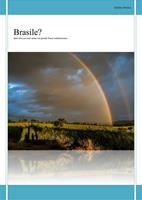   Brasile? Quel che non tutti sanno sul grande paese sudamericano