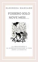   Fossero solo nove mesi... La gravidanza e la riorganizzazione a casa dopo la nascita