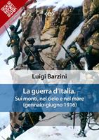 La guerra d'Italia. Sui monti, nel cielo e nel mare (gennaio-giugno 1916)