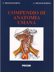 Compendio di anatomia umana - Vittorio Mezzogiorno, Antonio Mezzogiorno - Libro Piccin-Nuova Libraria 1994 | Libraccio.it