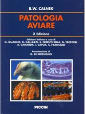 Patologia aviare - B. W. Calnek - Libro Piccin-Nuova Libraria 2001 | Libraccio.it