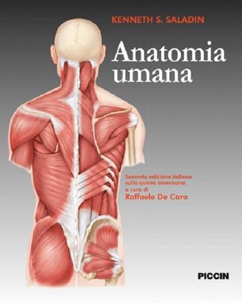 Anatomia umana - Kenneth S. Saladin - Libro Piccin-Nuova Libraria 2017 | Libraccio.it