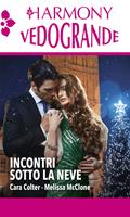 Incontri sotto la neve: Il sogno di Natale-Noi due sotto la neve