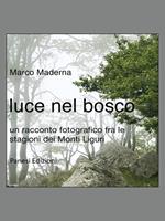   Luce nel bosco