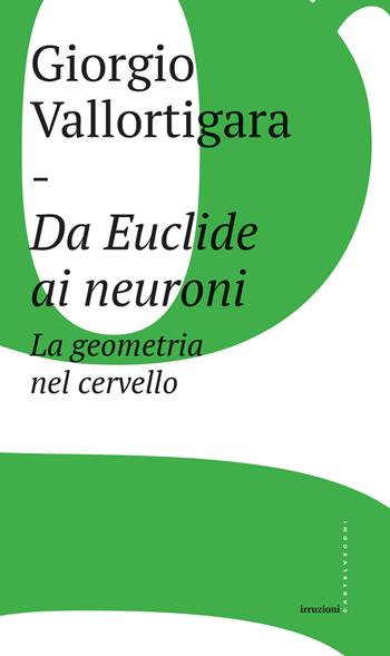 Da Euclide ai neuroni. La geometria nel cervello - Giorgio Vallortigara - Libro Castelvecchi 2017, Irruzioni | Libraccio.it