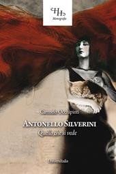 Antonello Silverini. Quello che si vede