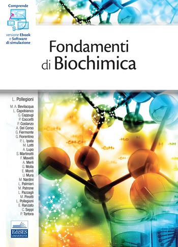 Fondamenti di biochimica  - Libro Edises 2021 | Libraccio.it