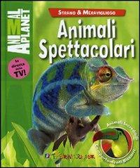 Animali spettacolari - Margaret McPhee - Libro Touring Junior 2012, Animal Planet. Strano e meraviglioso | Libraccio.it