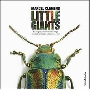 Little giants. Lo stupefacente mondo degli insetti  - Libro Silvana 2017, Arte | Libraccio.it