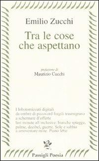 Tra le cose che aspettano - Emilio Zucchi - Libro Passigli 2007, Passigli poesia | Libraccio.it
