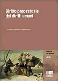 Diritto processuale dei diritti umani - Luca Mezzetti, Calogero Pizzolo - Libro Maggioli Editore 2013, Manuali del sapere | Libraccio.it