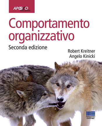 Comportamento organizzativo - Robert Kreitner, Angelo Kinicki - Libro Apogeo Education 2013, Idee e strumenti | Libraccio.it