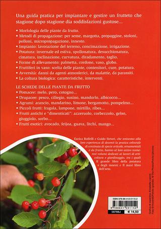 Il maxi libro del frutteto. Coltivazione in piena terra e in vaso - Enrica Boffelli, Guido Sirtori - Libro De Vecchi 2013, I maxi libri | Libraccio.it