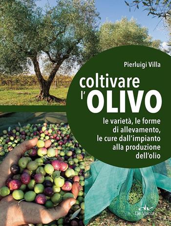 Coltivare l'olivo. Dall'impianto alla produzione dell'olio - Pierluigi Villa - Libro De Vecchi 2016, Guide del buon raccolto | Libraccio.it