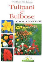 Tulipani e bulbose - Edward Bent, Aldo Colombo - Libro De Vecchi 2001, Orticoltura | Libraccio.it