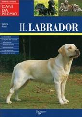 Il Labrador