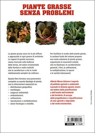 Piante grasse senza problemi - Alberto Massa Saluzzo - Libro De Vecchi 2010, Il nuovo giardino | Libraccio.it