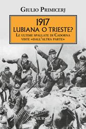 1917 Lubiana o Trieste? Le ultime spallate di Cadorna viste «dall'altra parte»